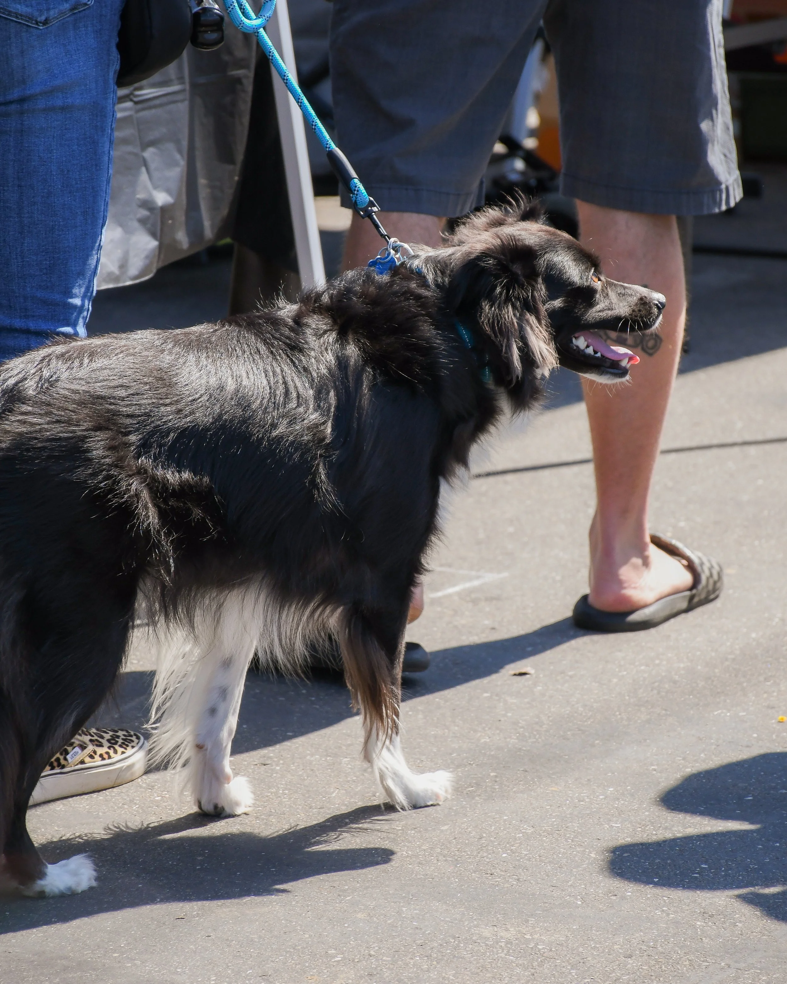 DSC_1518.jpg