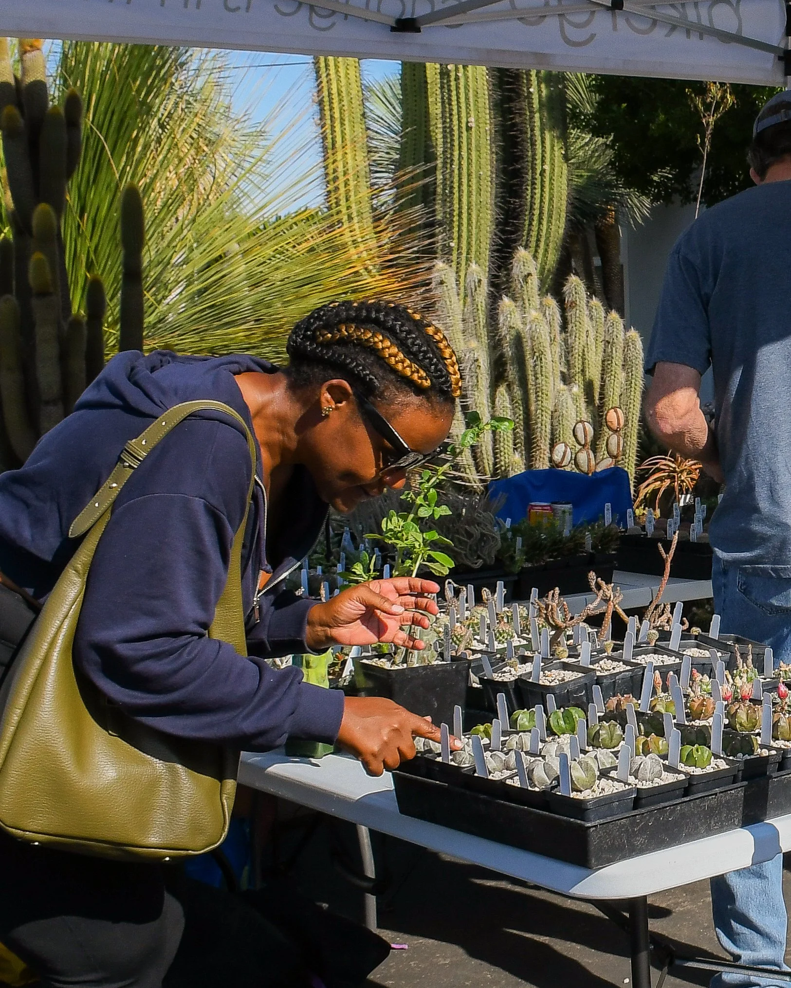 DSC_0893.jpg
