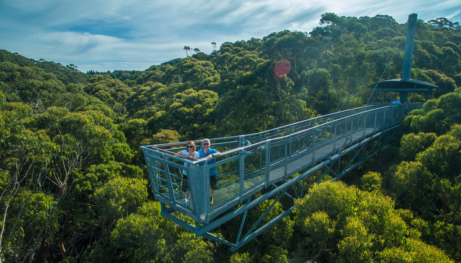 Illawarra_flywalk.jpg