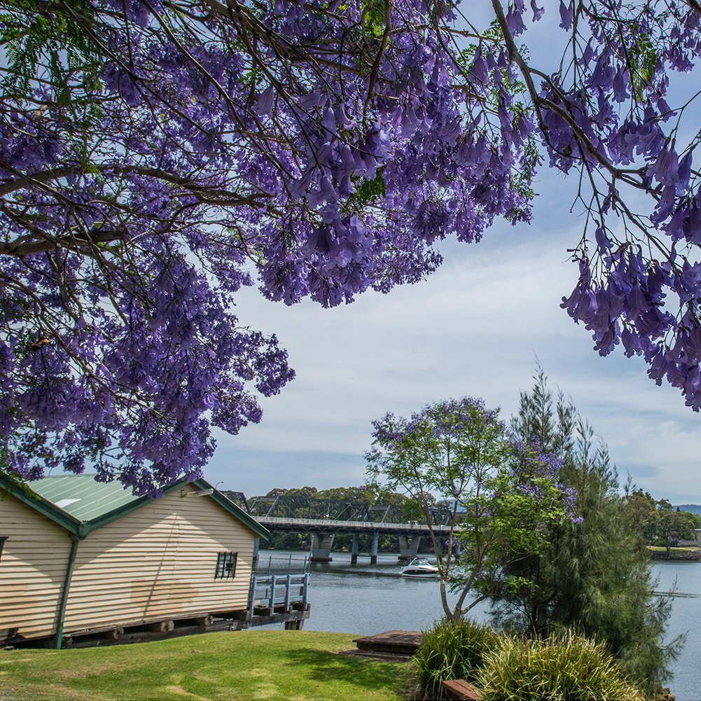 Spring in the NSW Southern Highlands – 5 day tour