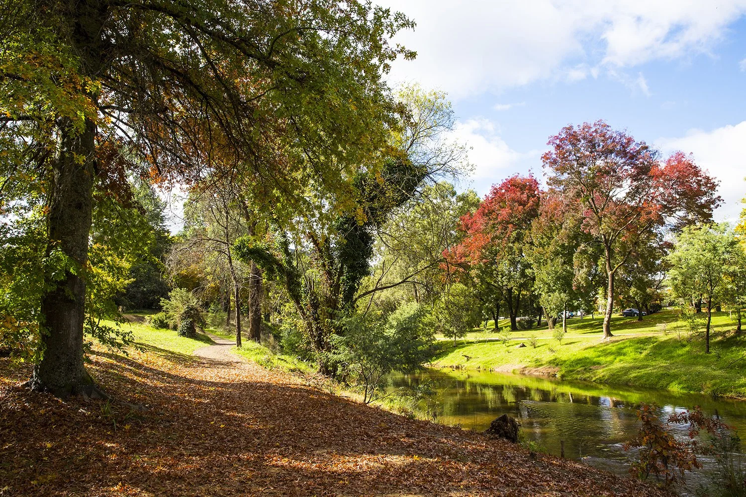 Bright & Surrounds – 5 day tour