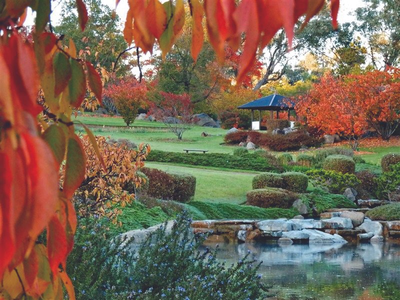 Young Cherry Festival – 6 day tour