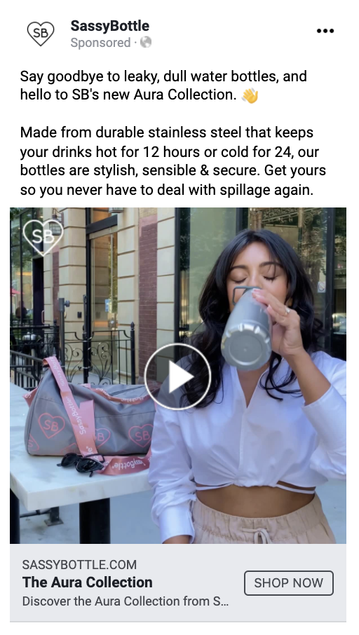 The problem:
Water bottles are leaky.
The solution:
I used the words "stylish, sensible, and secure" to capture three main features of the SB water bottle, including the solution for the initial problem.
I wrote copy for this campaign and shot t