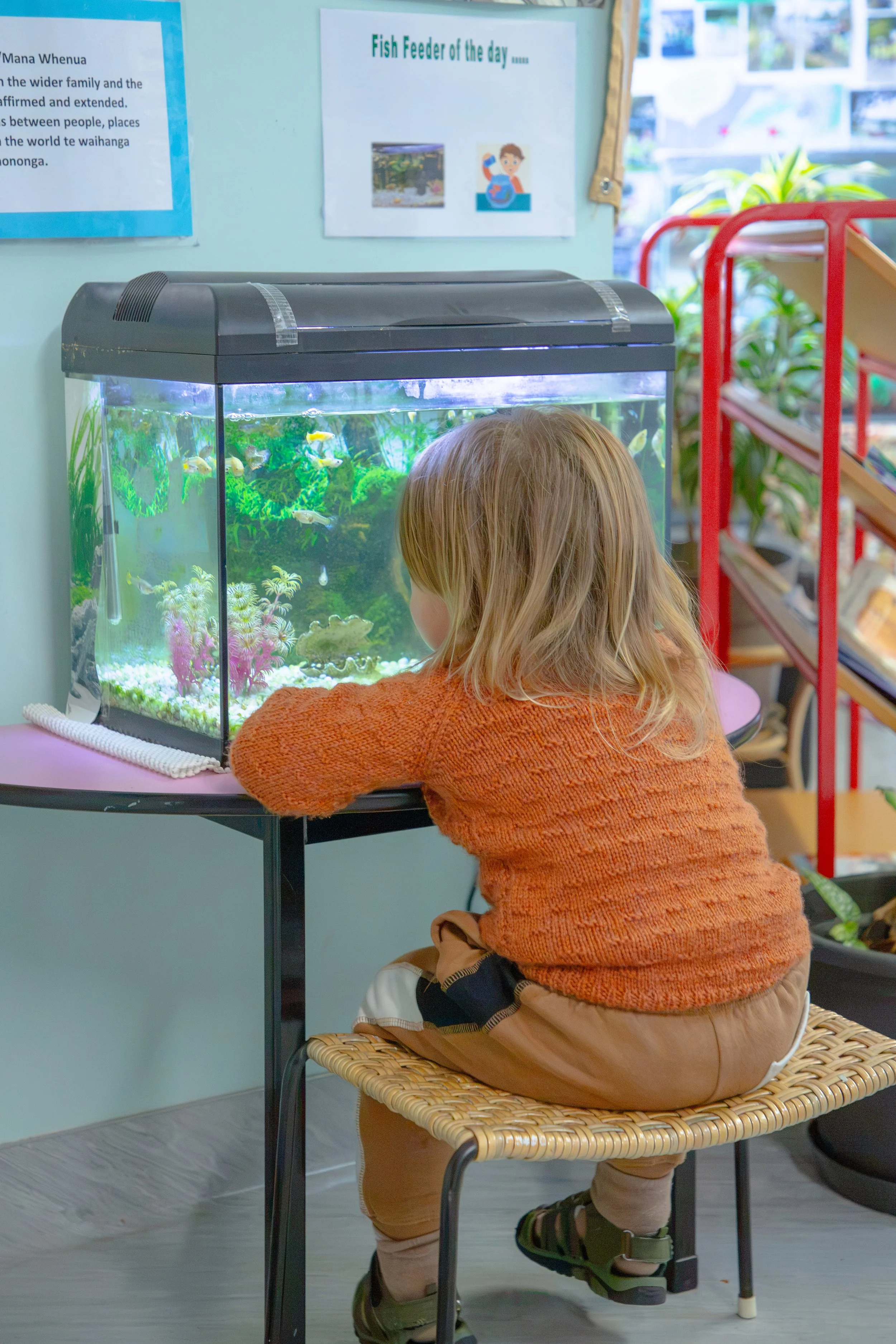 ButterflyPreschool5.jpg