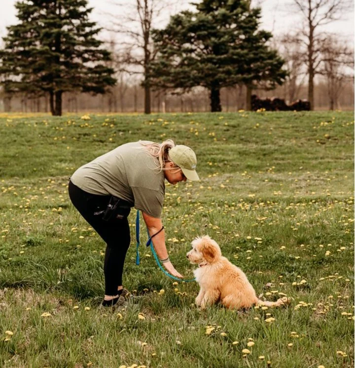 Private dog training near Noblesville, IN