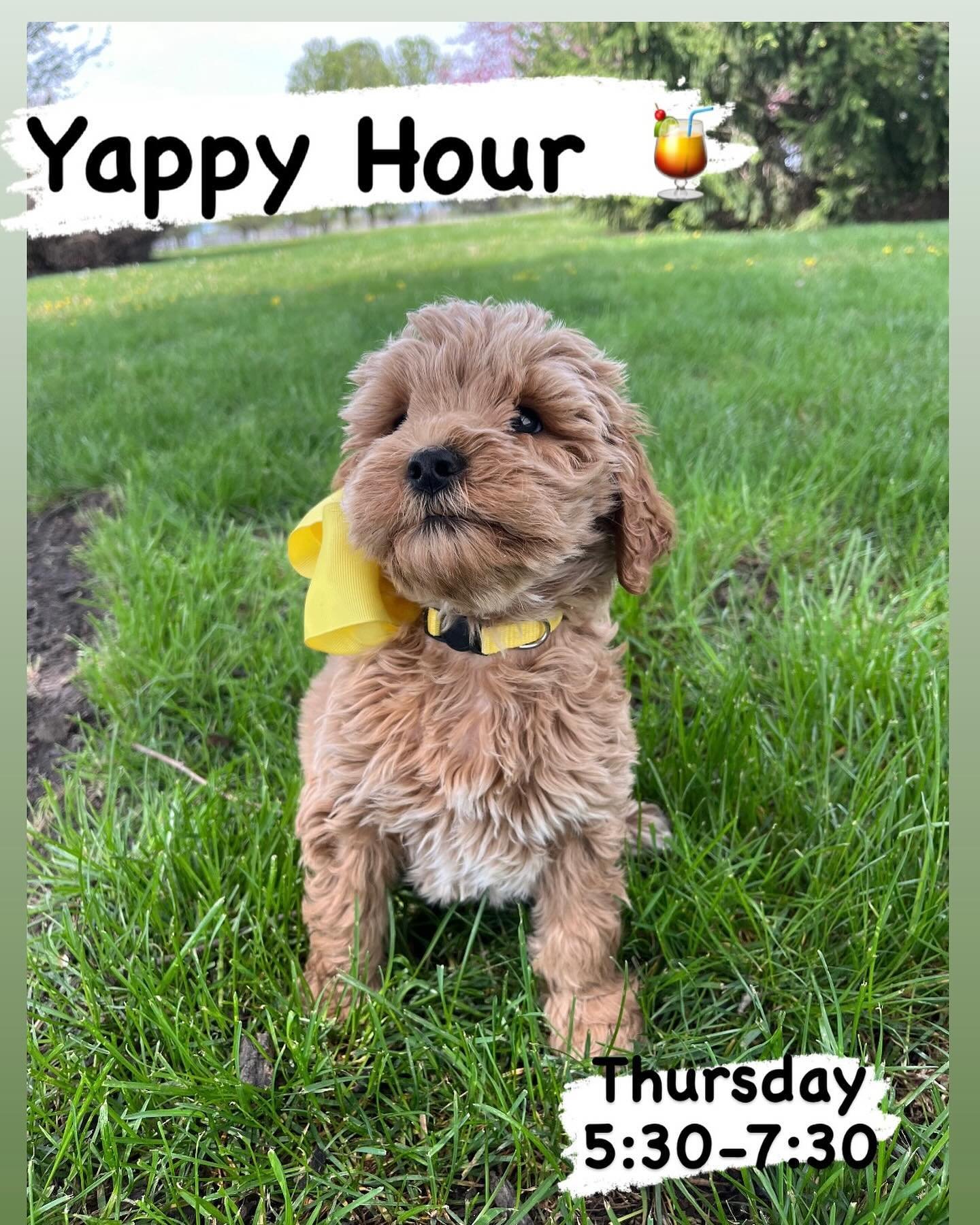 We&rsquo;re hosting a little get together this Thursday from 5:30-7:30! Mocktails and juice boxes included. Grab a few friends and head out to the farm to socialize with some puppies. 

Message us to RSVP.