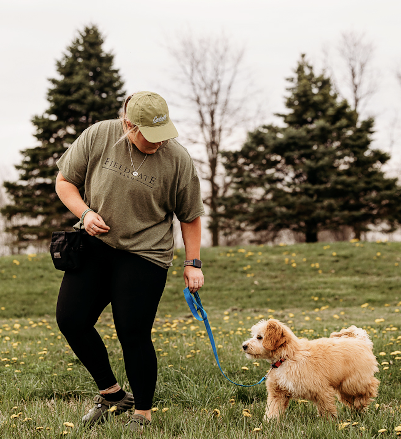 Private dog training near Noblesville, IN