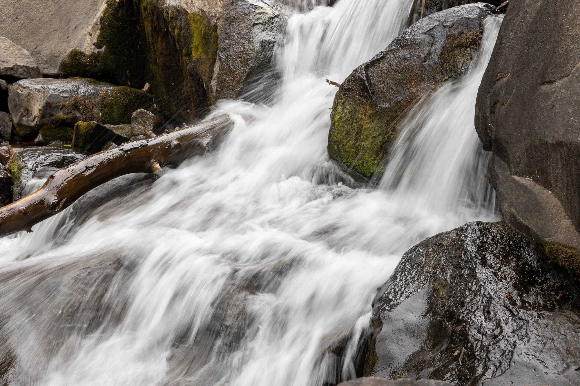 landscape-20260827-4932.jpg