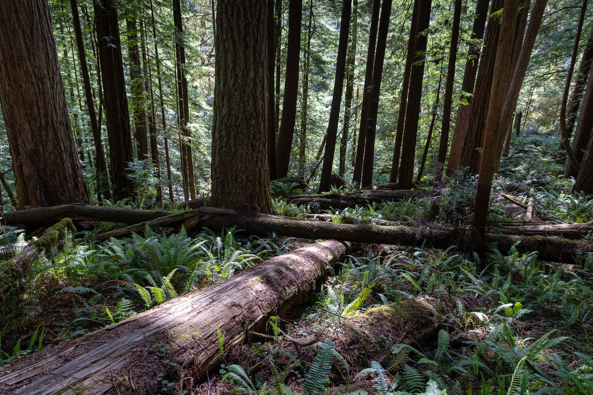 landscape-20260515-9687.jpg