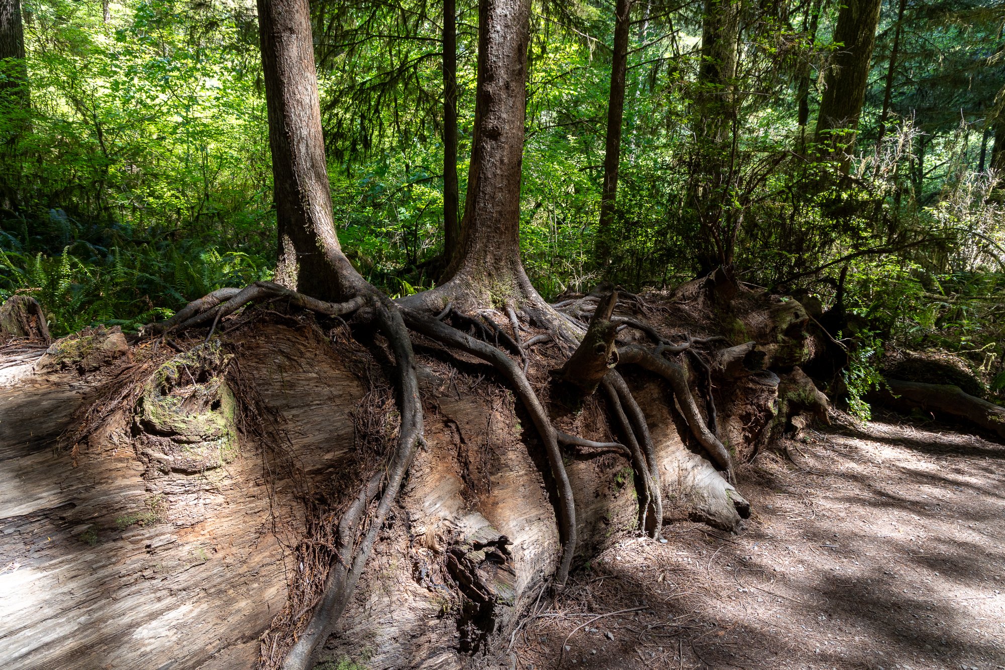 landscape-20260515-9735.jpg