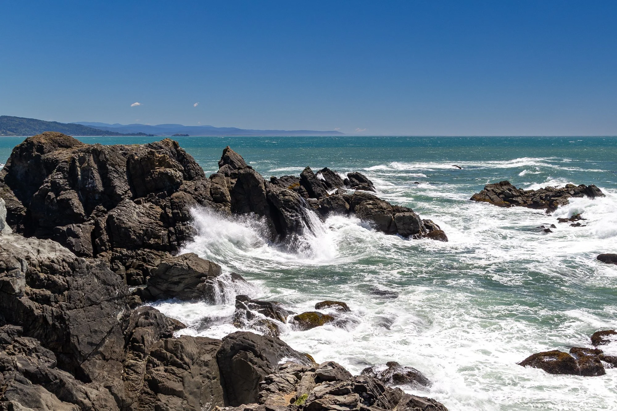 beach-20260517-9976.jpg