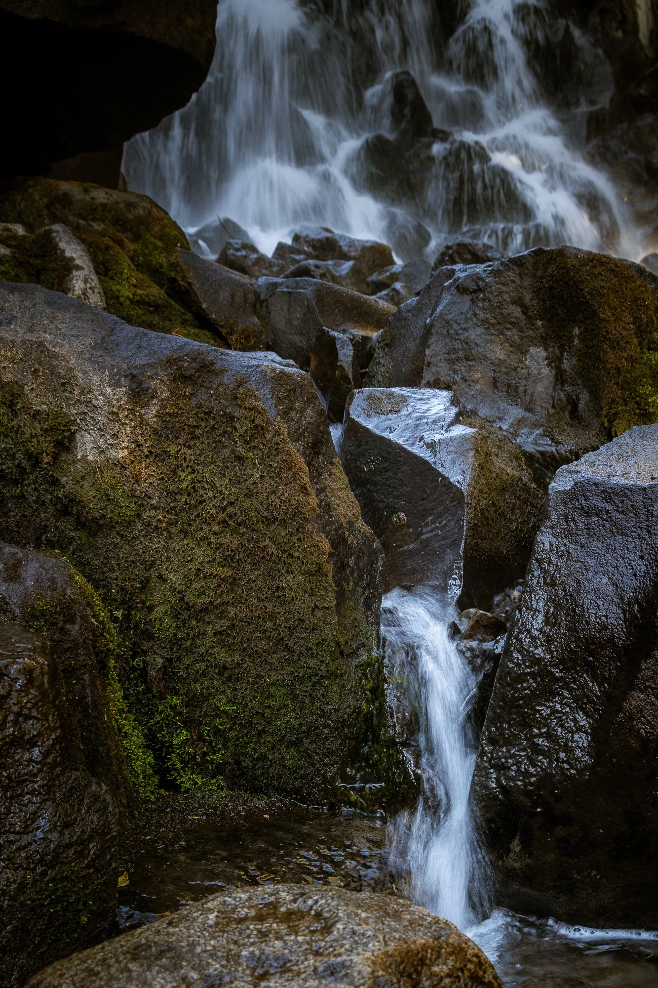 landscape-20260823-4377.jpg