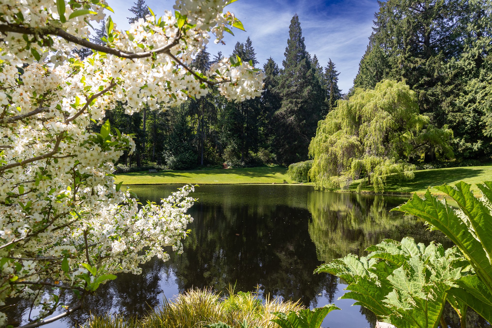 Washington - May 2025