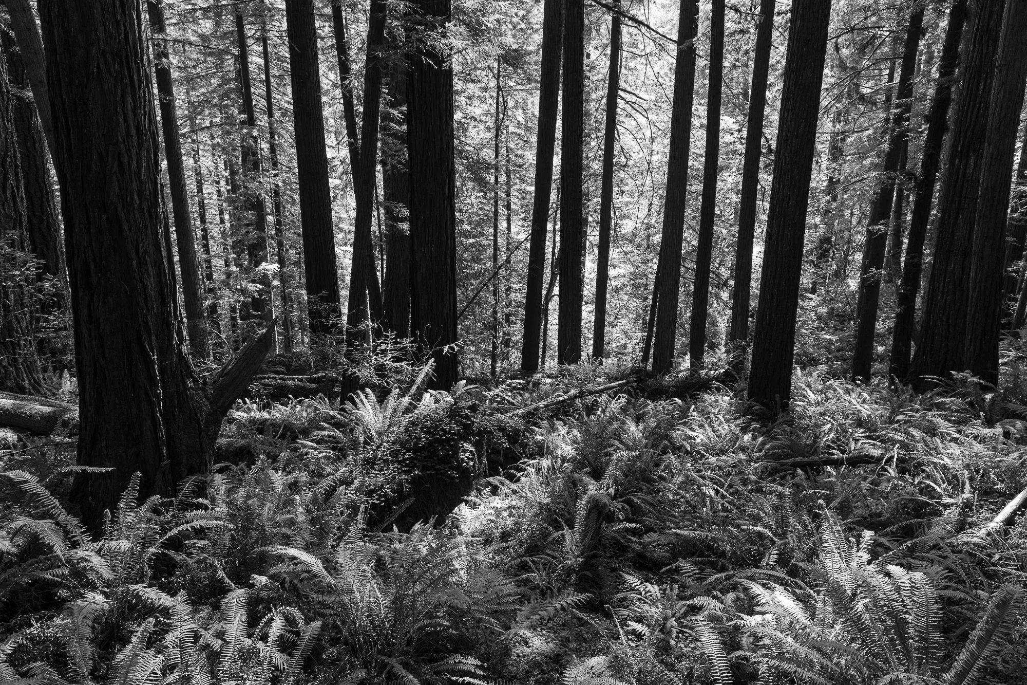 landscape-20260515-9686.jpg