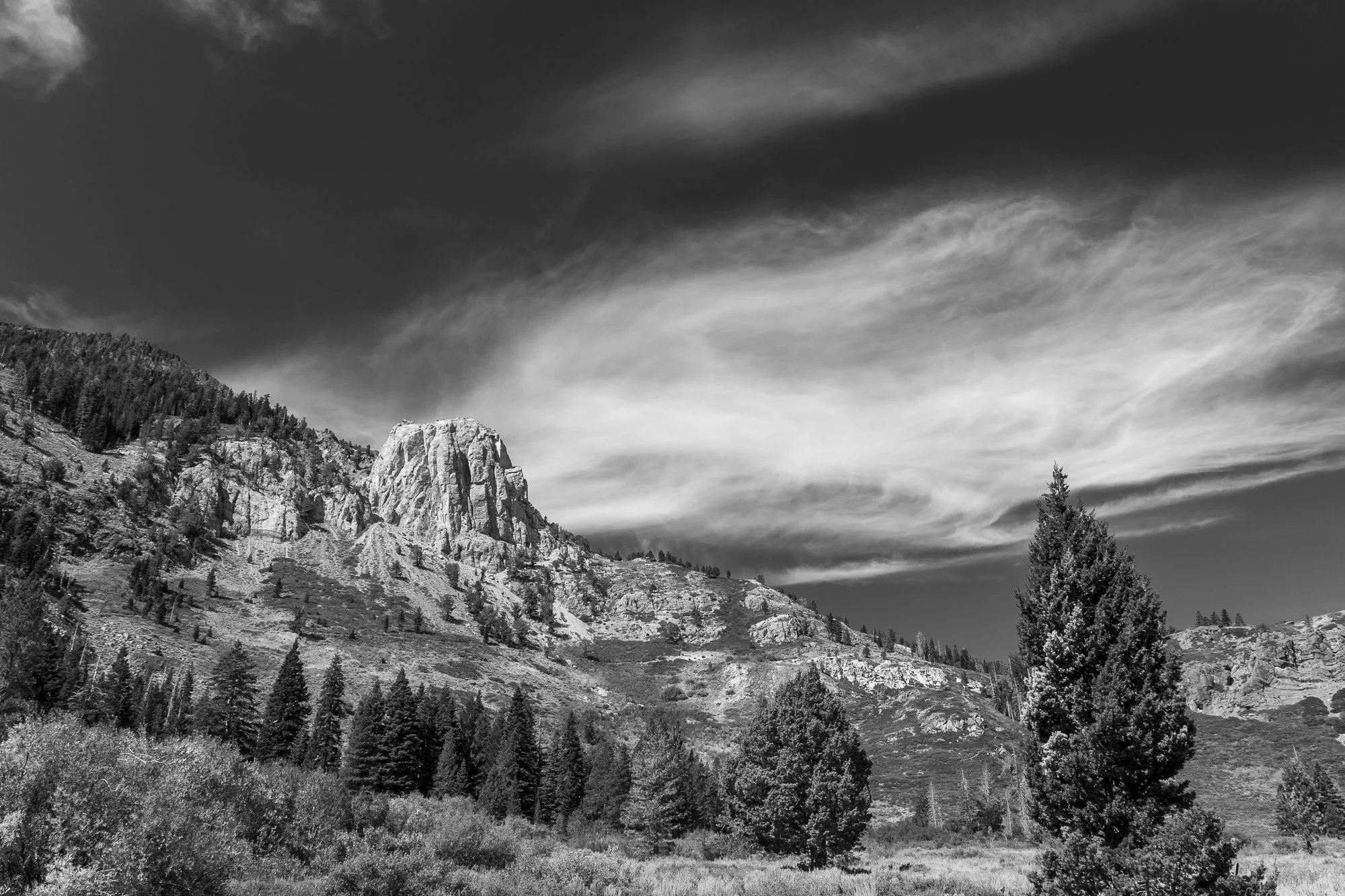 landscape-20260824-4455.jpg