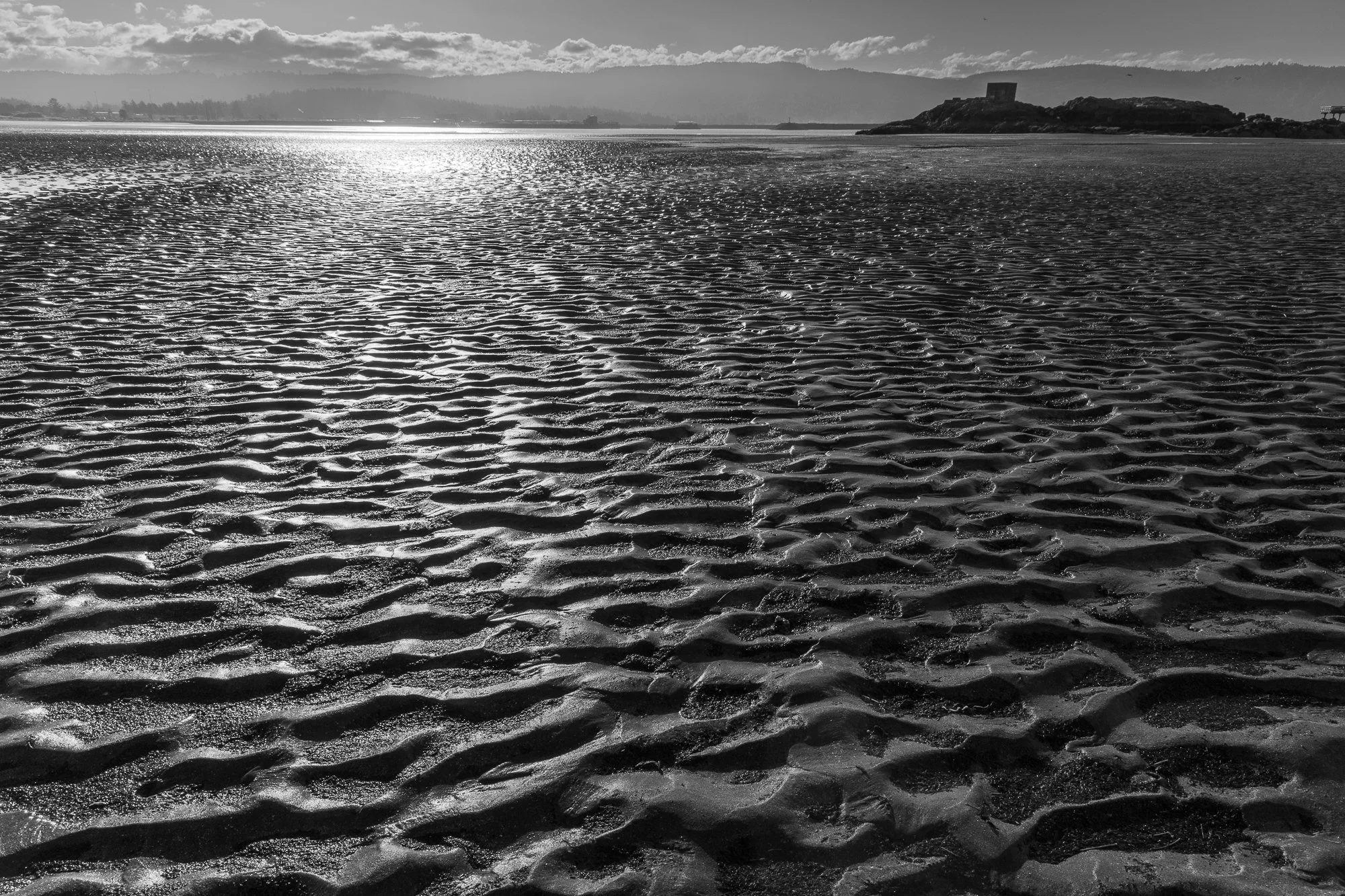 beach-20260517-9851.jpg