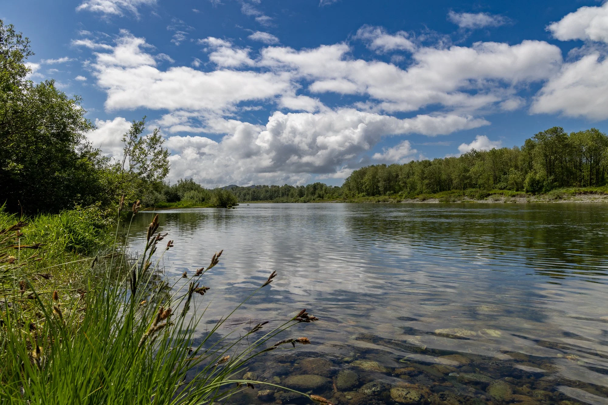 landscape-20260513-9529.jpg