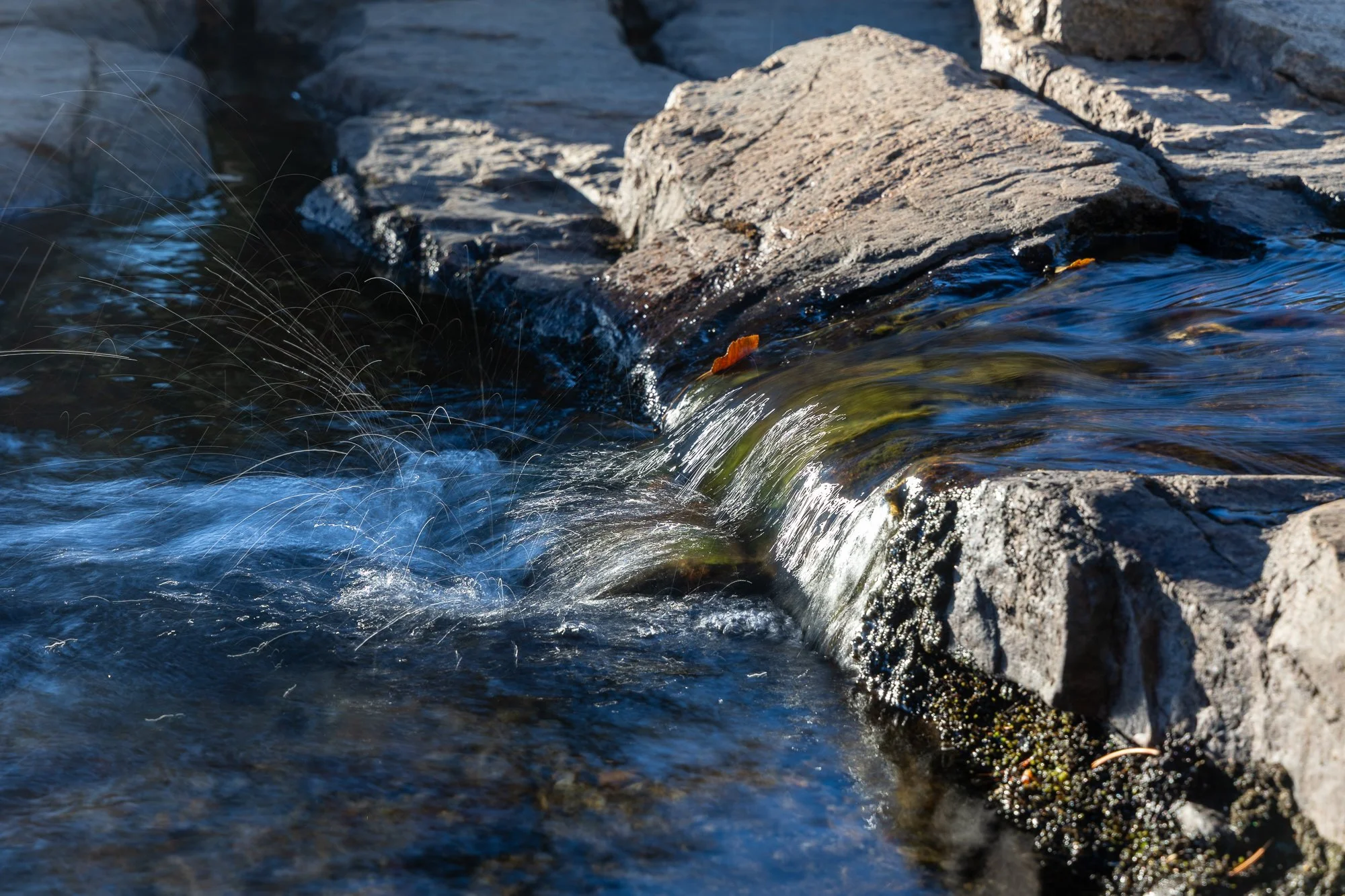 landscape-20260820-4104.jpg
