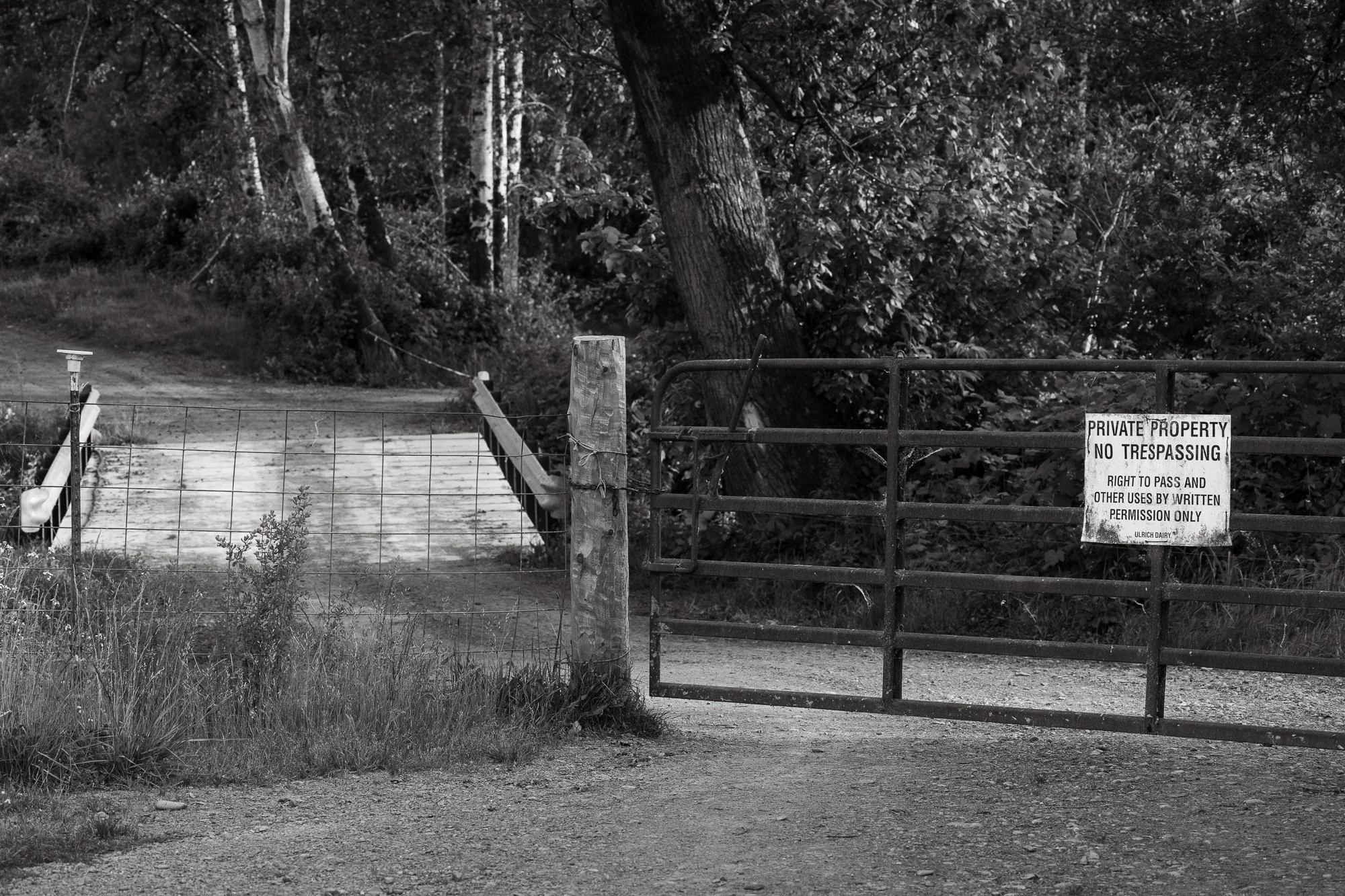 landscape-20260515-9759.jpg