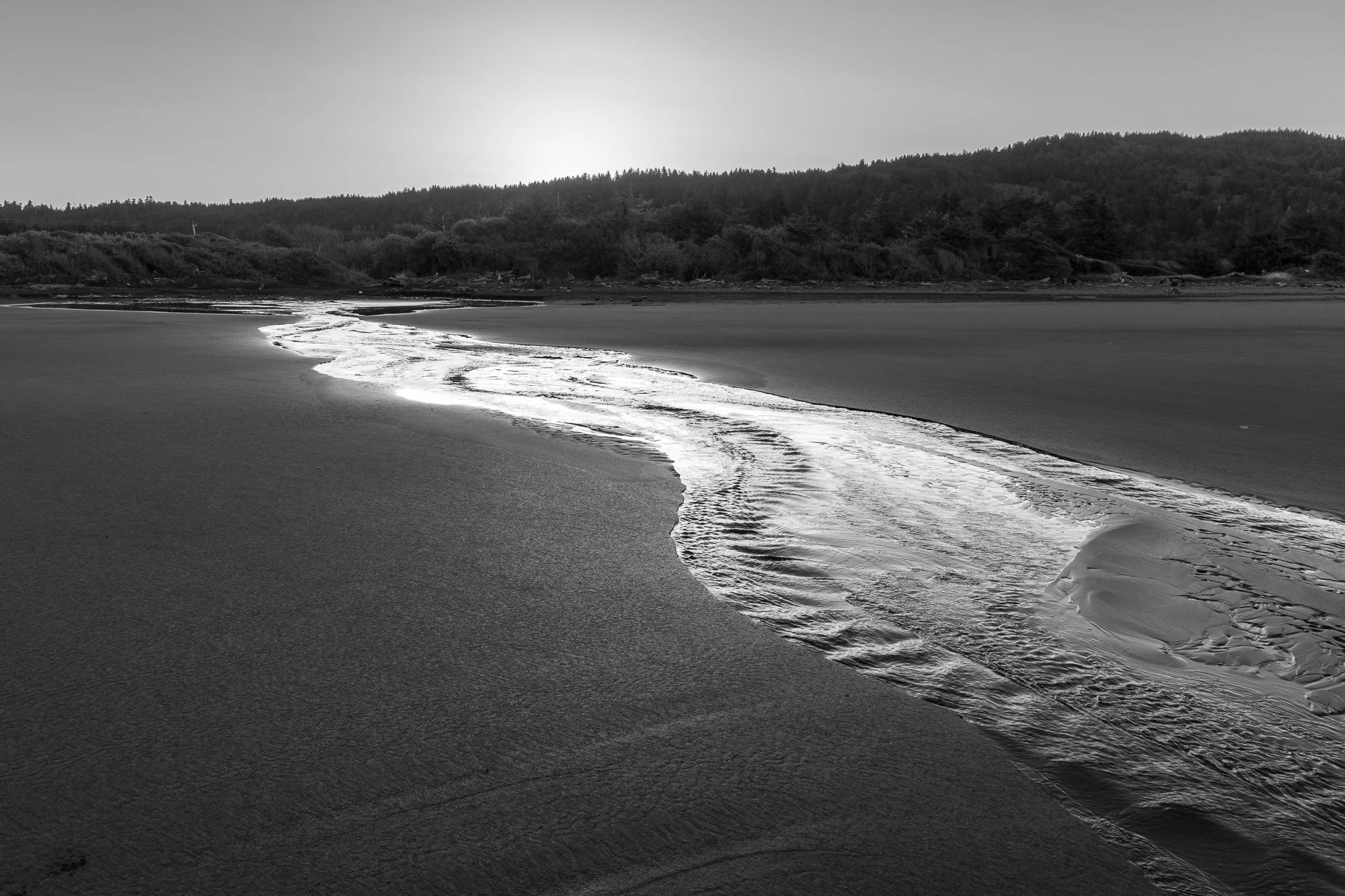 beach-20260518-0042.jpg