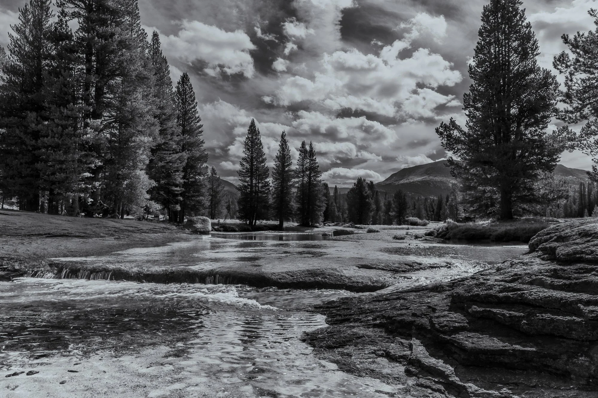landscape-20260825-4617.jpg