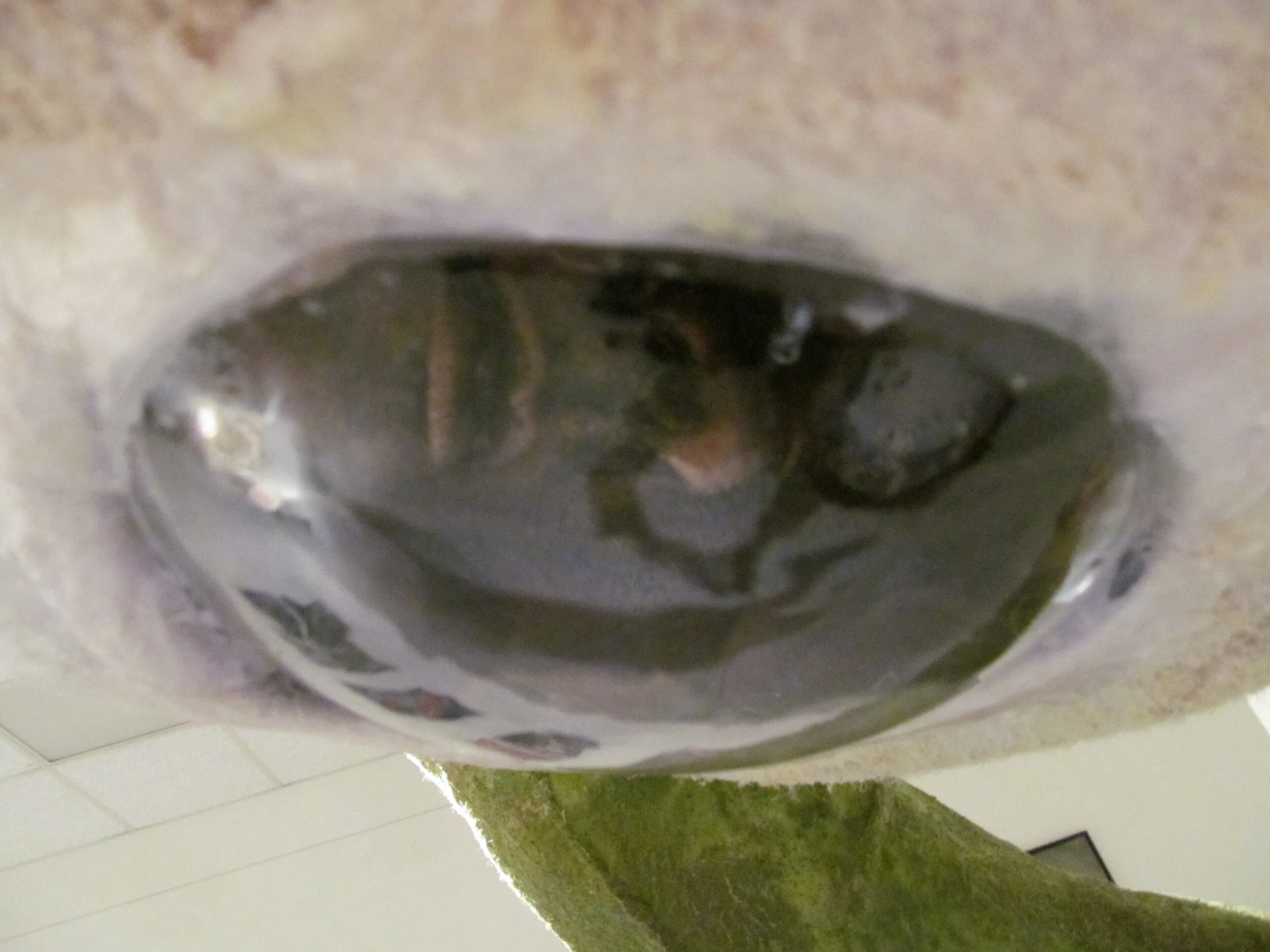 Detail: Look Before You...Post c. 2012