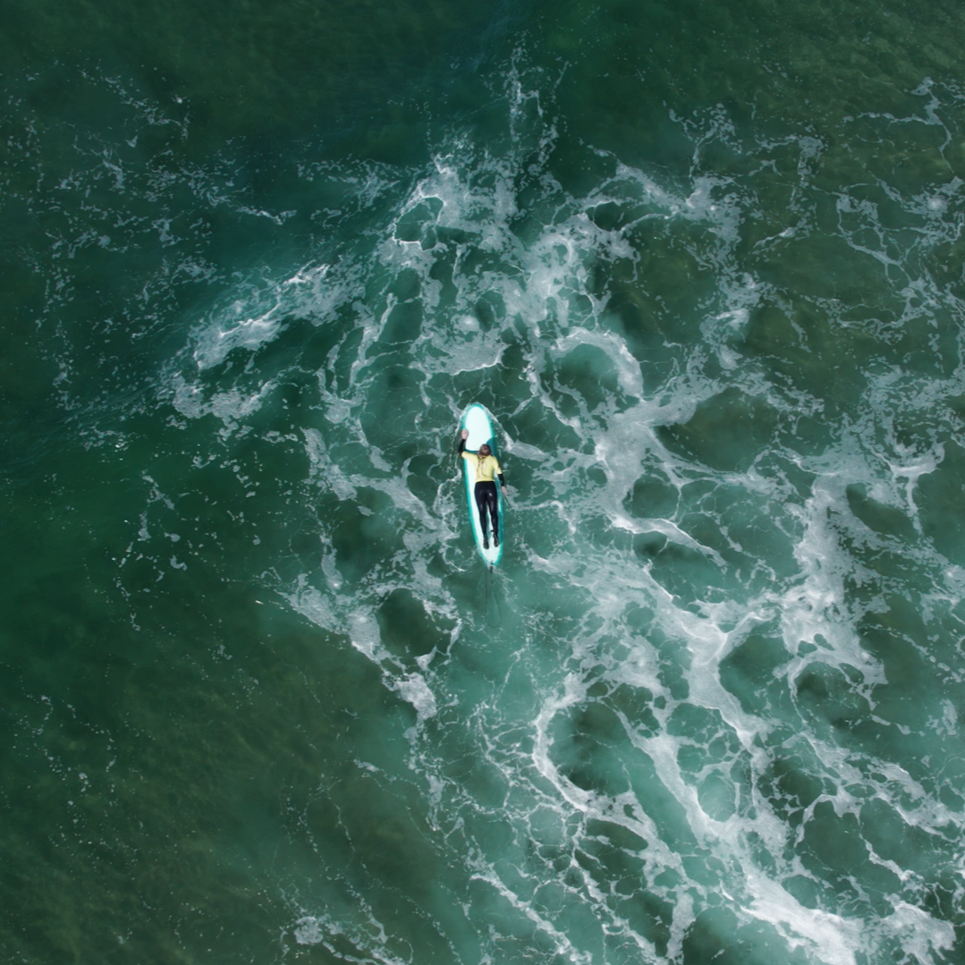 Oregon Shores Conservation Coalition