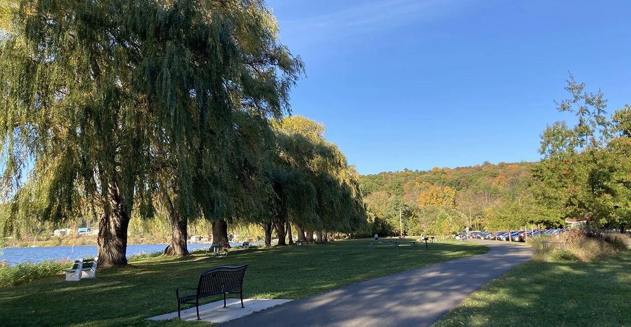 A park with a paved walking path, benches, trees, and a lake in the background, with a mountain and parking lot visible under a clear blue sky.
