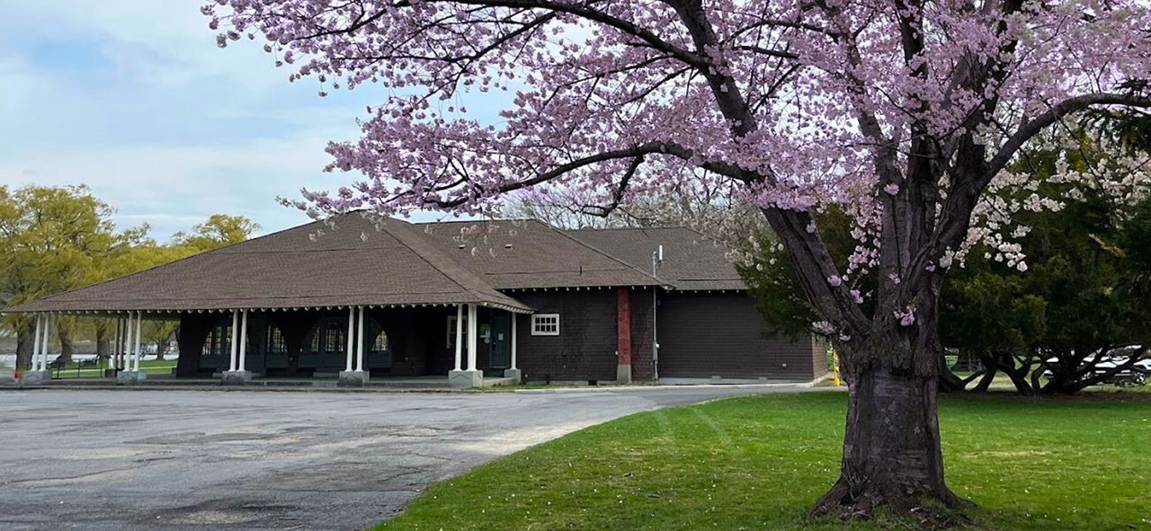 A building with a dark exterior and covered porch, surrounded by a lawn with a large cherry blossom tree in full bloom.