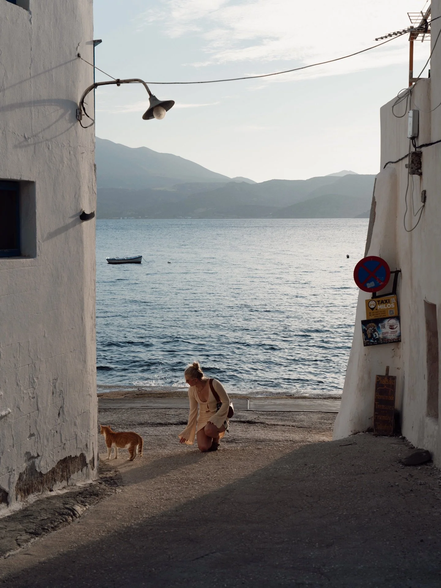 2026: more slow days, adventure, kitties, and living