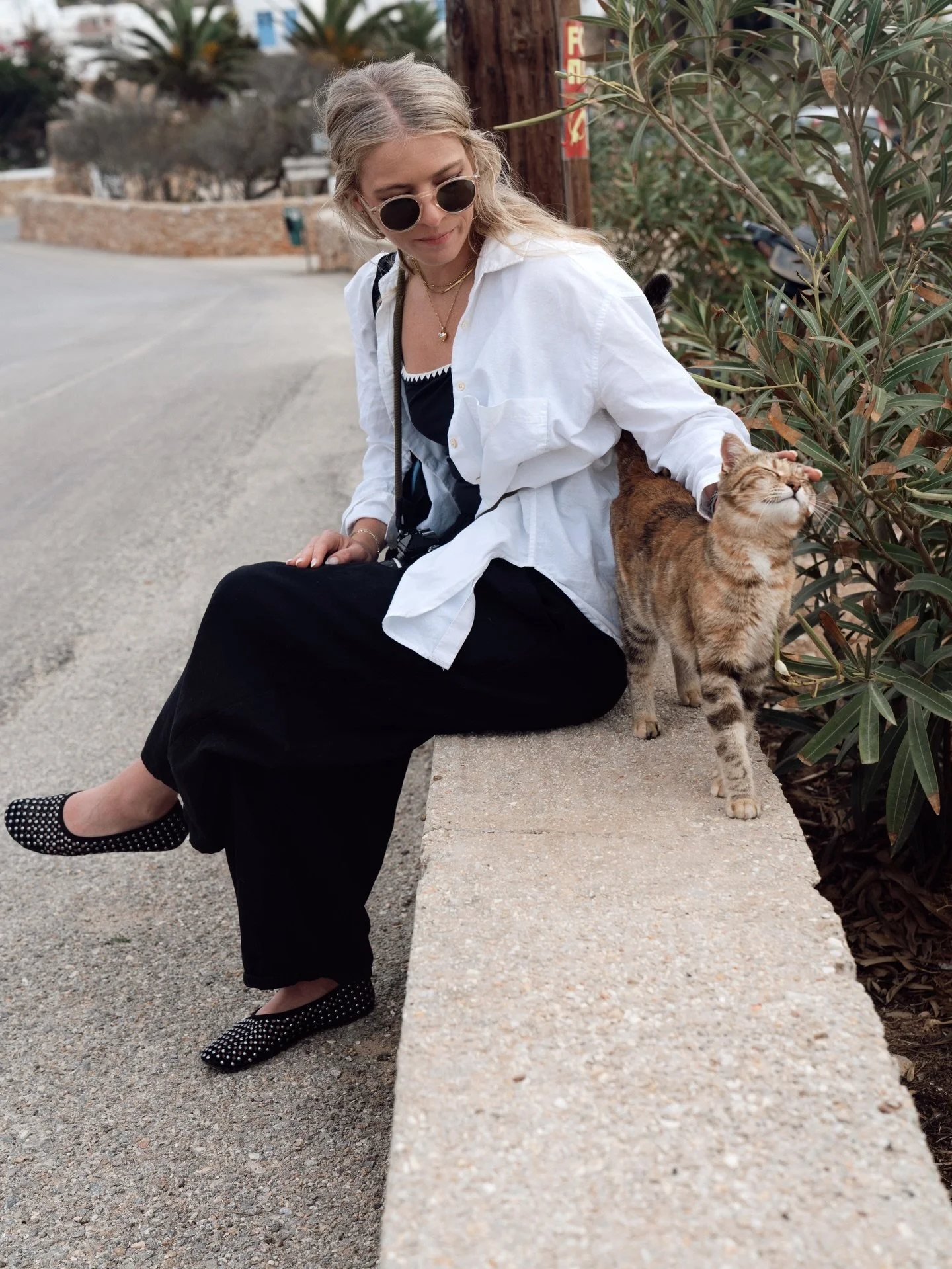 Main highlight of the trip, all the kitties