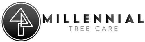 millennialtreecare.ca