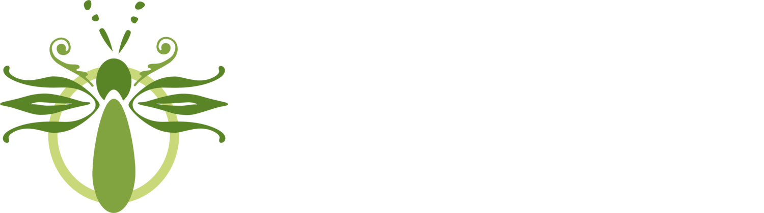 Firefly Massage