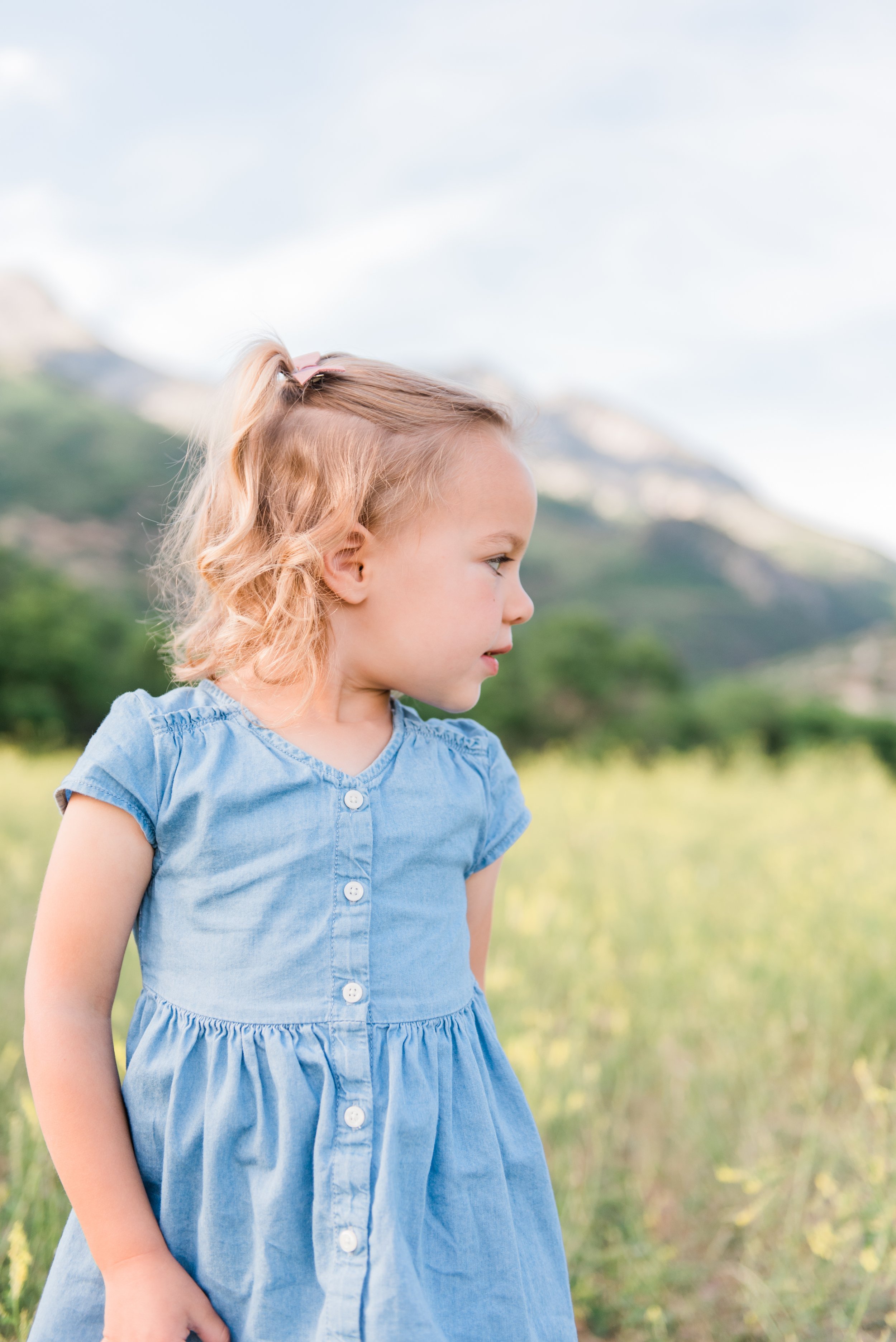  This stunning Fayetteville portrait highlights a little girl in a green field with beautiful mountains in the background. #marylandfamilyphotographer #onlinephotographycourse #photographytips #familyphotosession #diyfamilyphotos #kidportraits #girlo