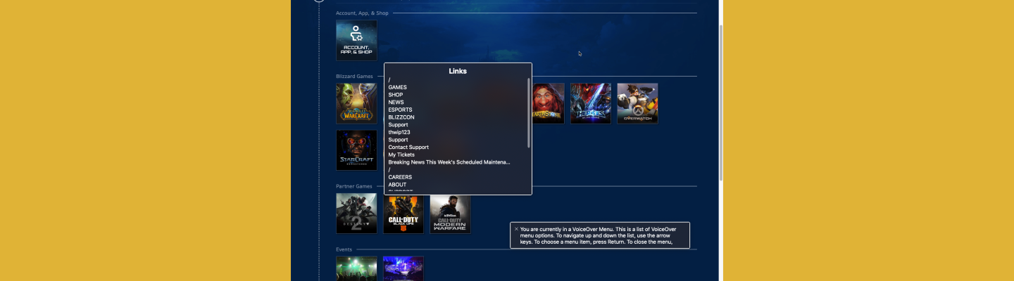 Accessibility Audit & Standardization