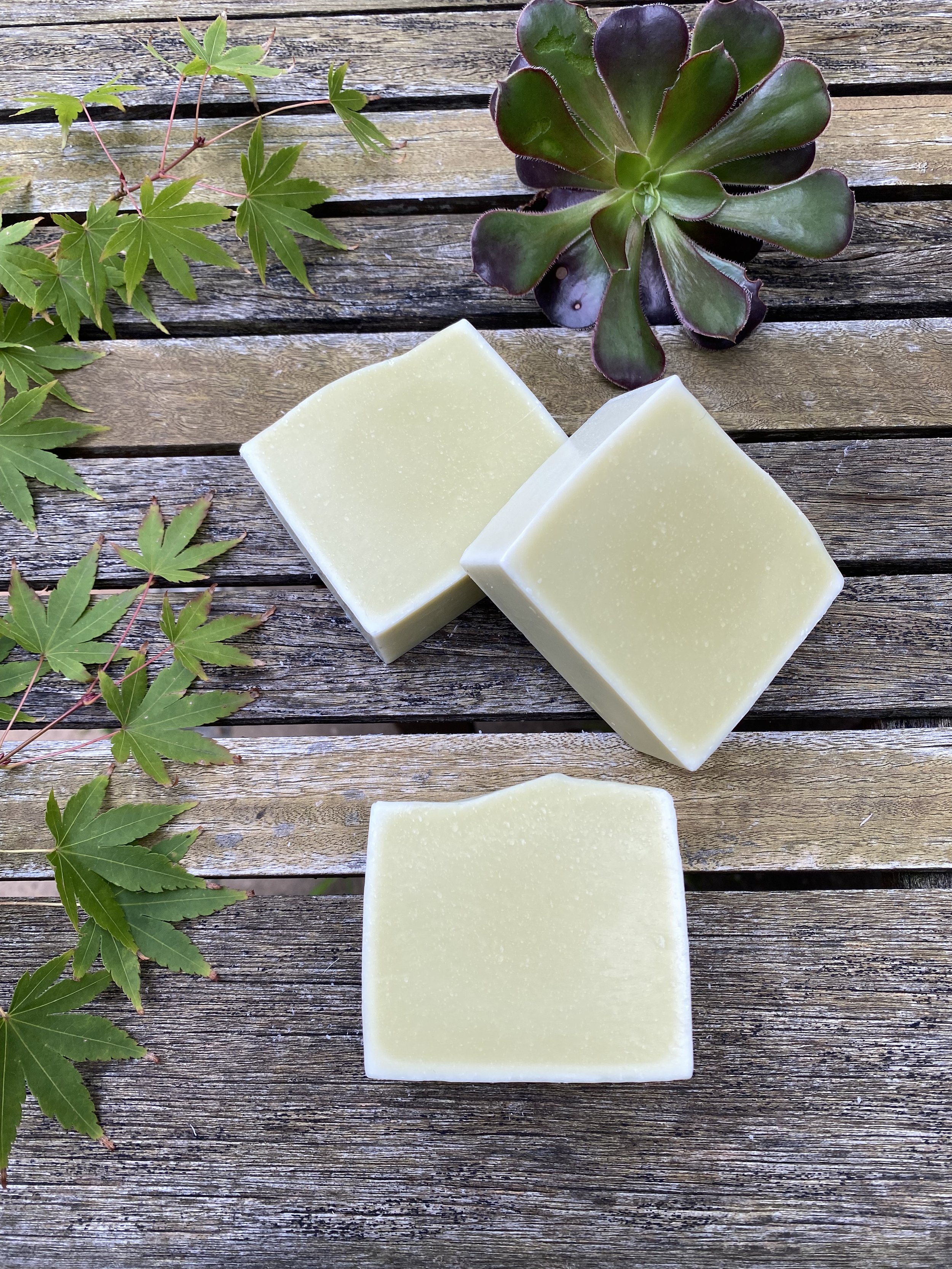Eucalyptus and Tea Tree Soap.jpeg