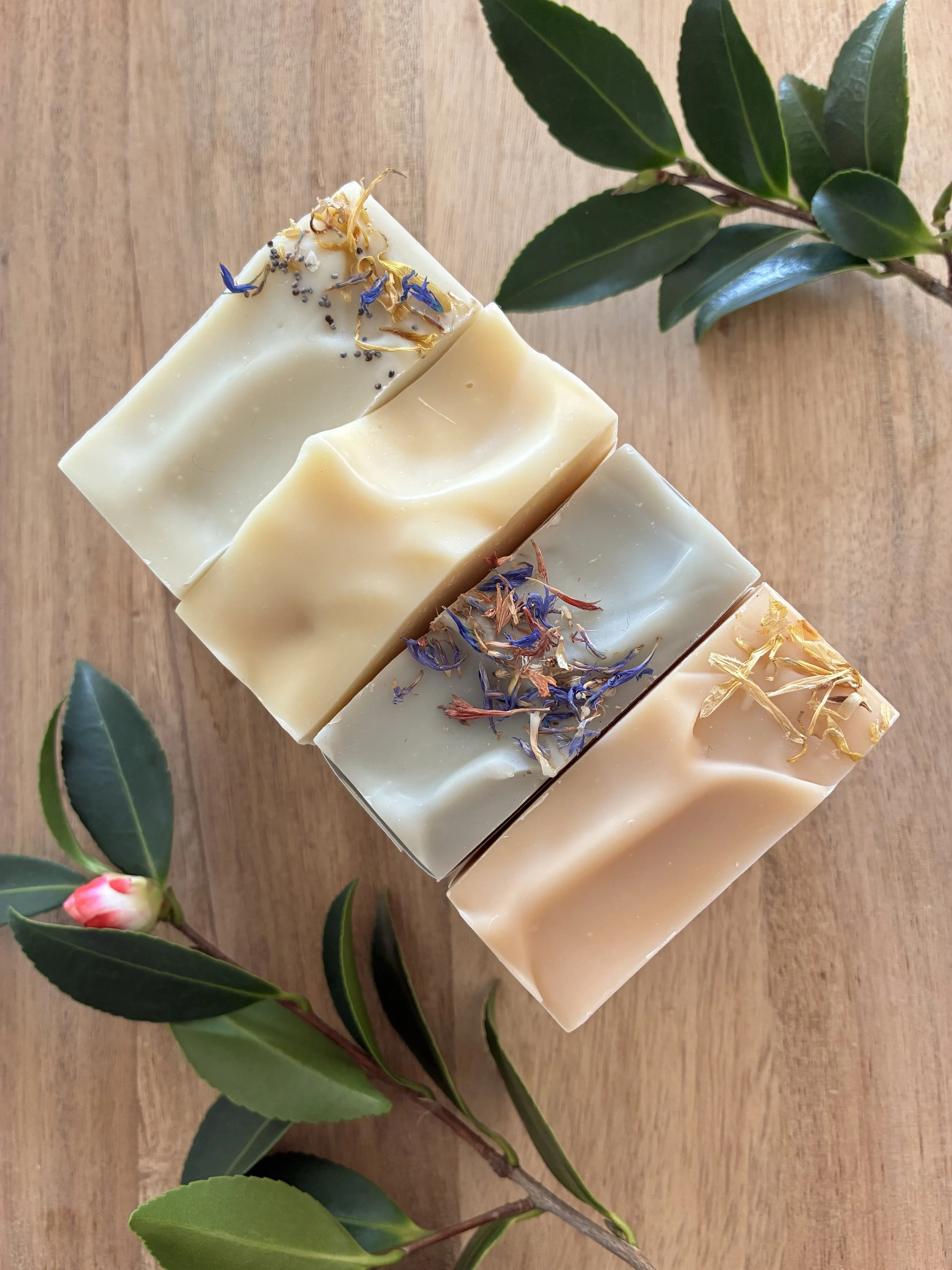 Citrus Collections Soaps Set of 4.jpeg