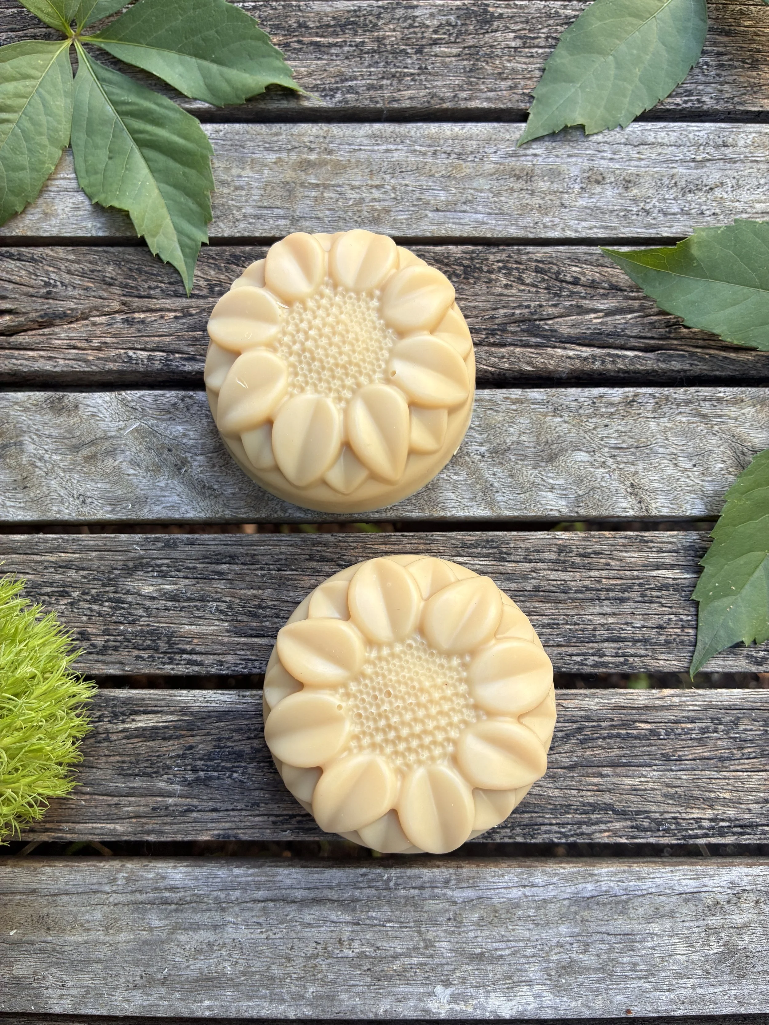 Lemon Myrtle and Eucalyptus Soaps.jpeg