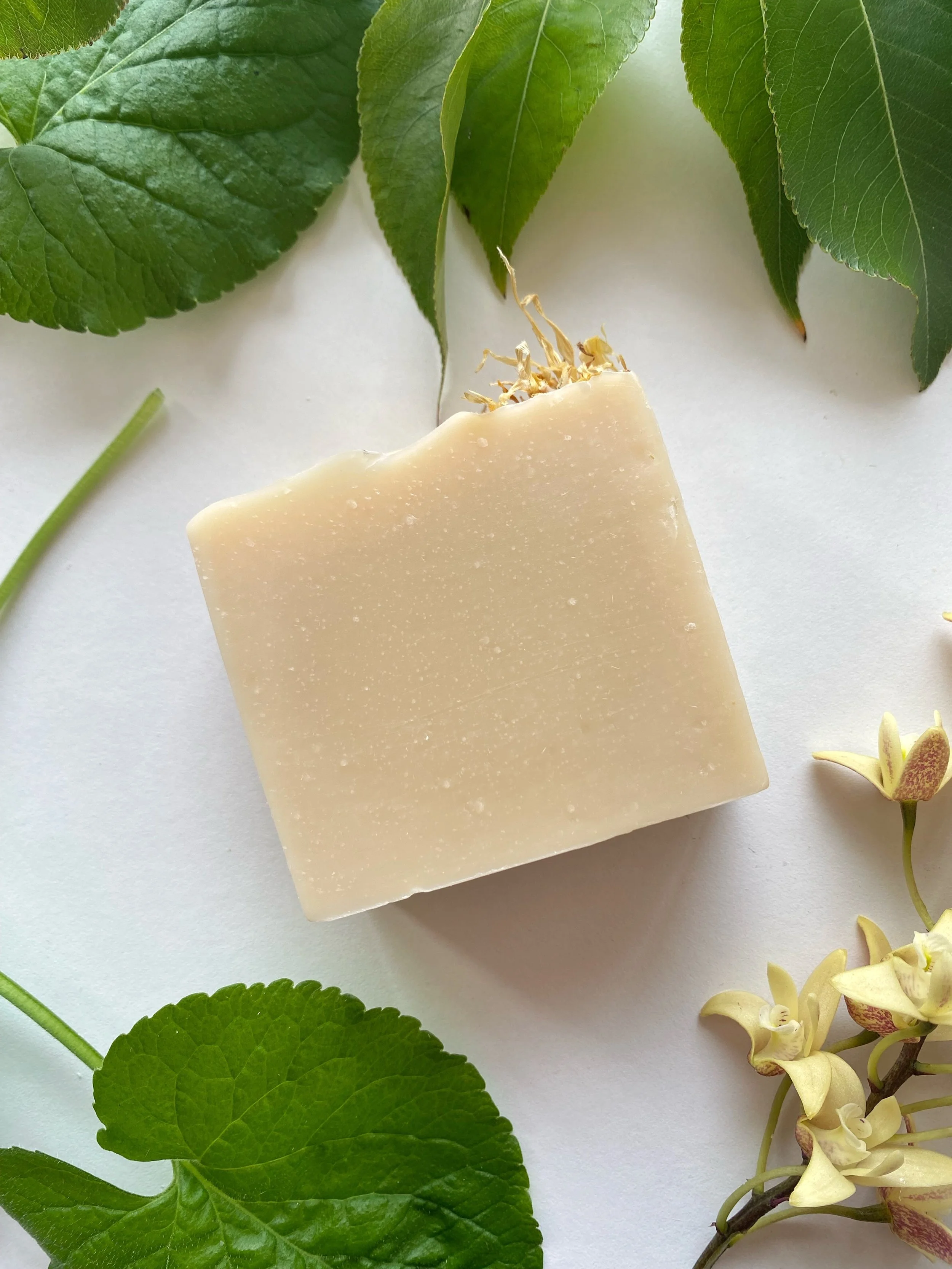 Lemon Myrtle Soap.JPG
