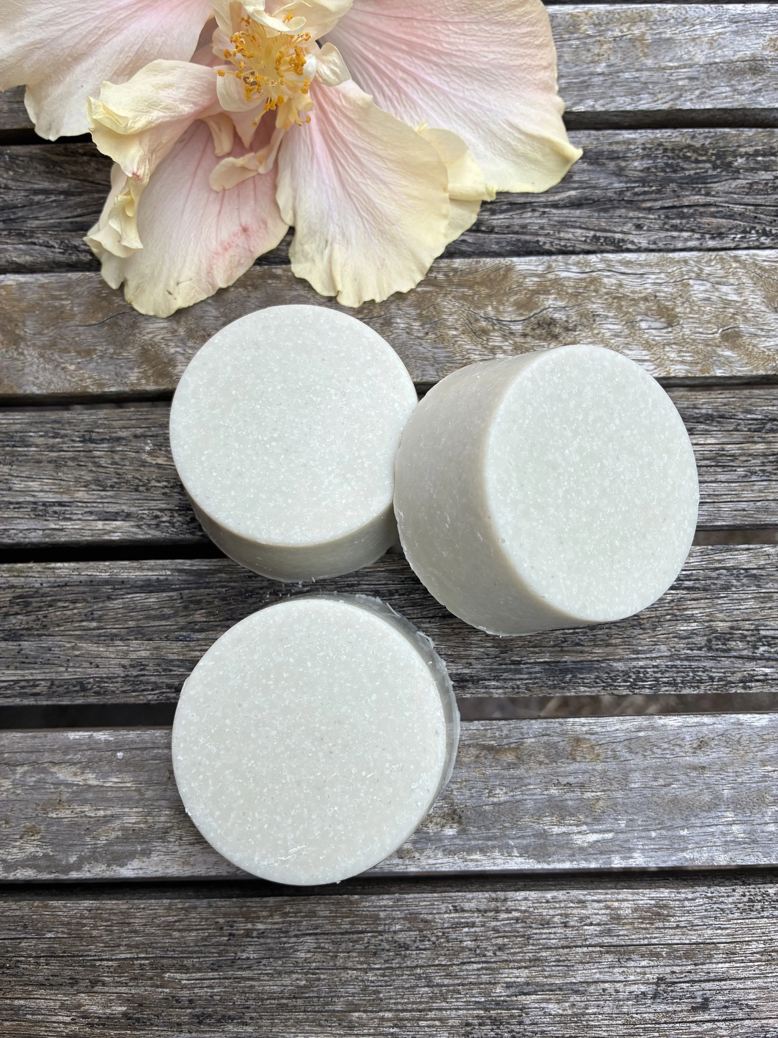 Round Salt Soap Bar - Mint, Rosemary and Juniper - New Release!
