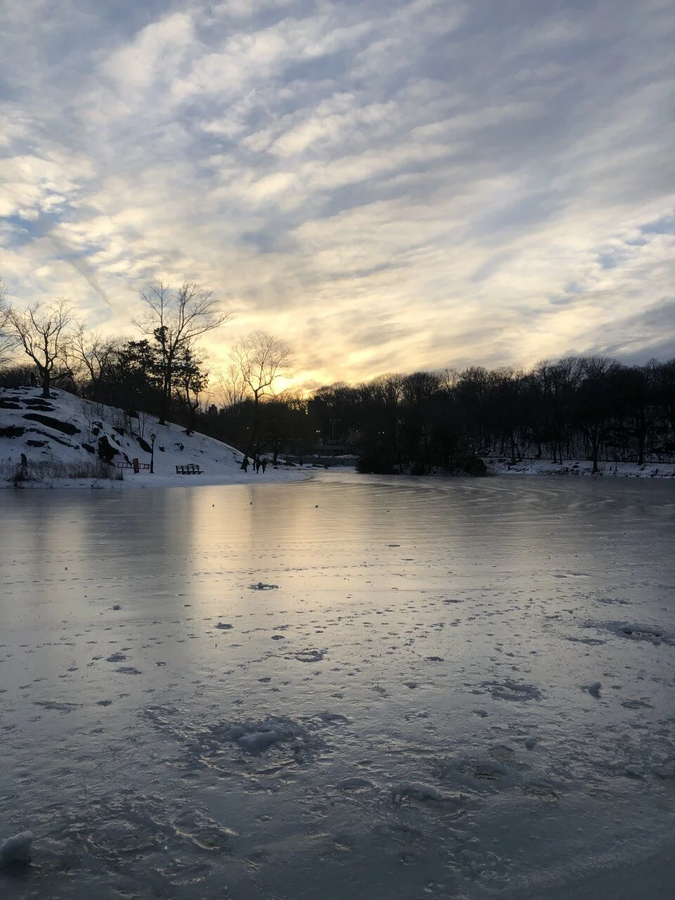 大雪の後のセントラルパーク