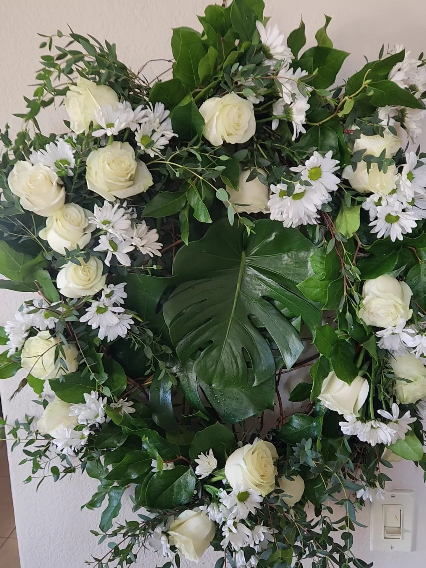 WhatsApp Image 2026-03-27 at 6.20.29 PM.jpeg