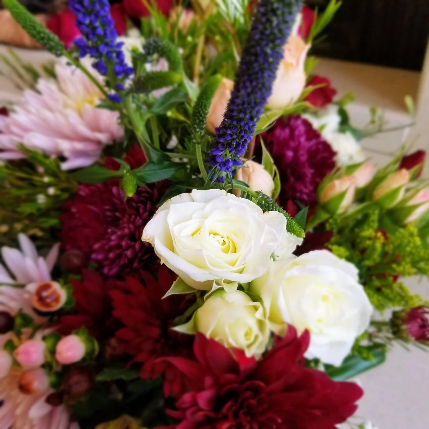 998848b0-74c9-4bdc-8623-2997ecc7cf51.jpg