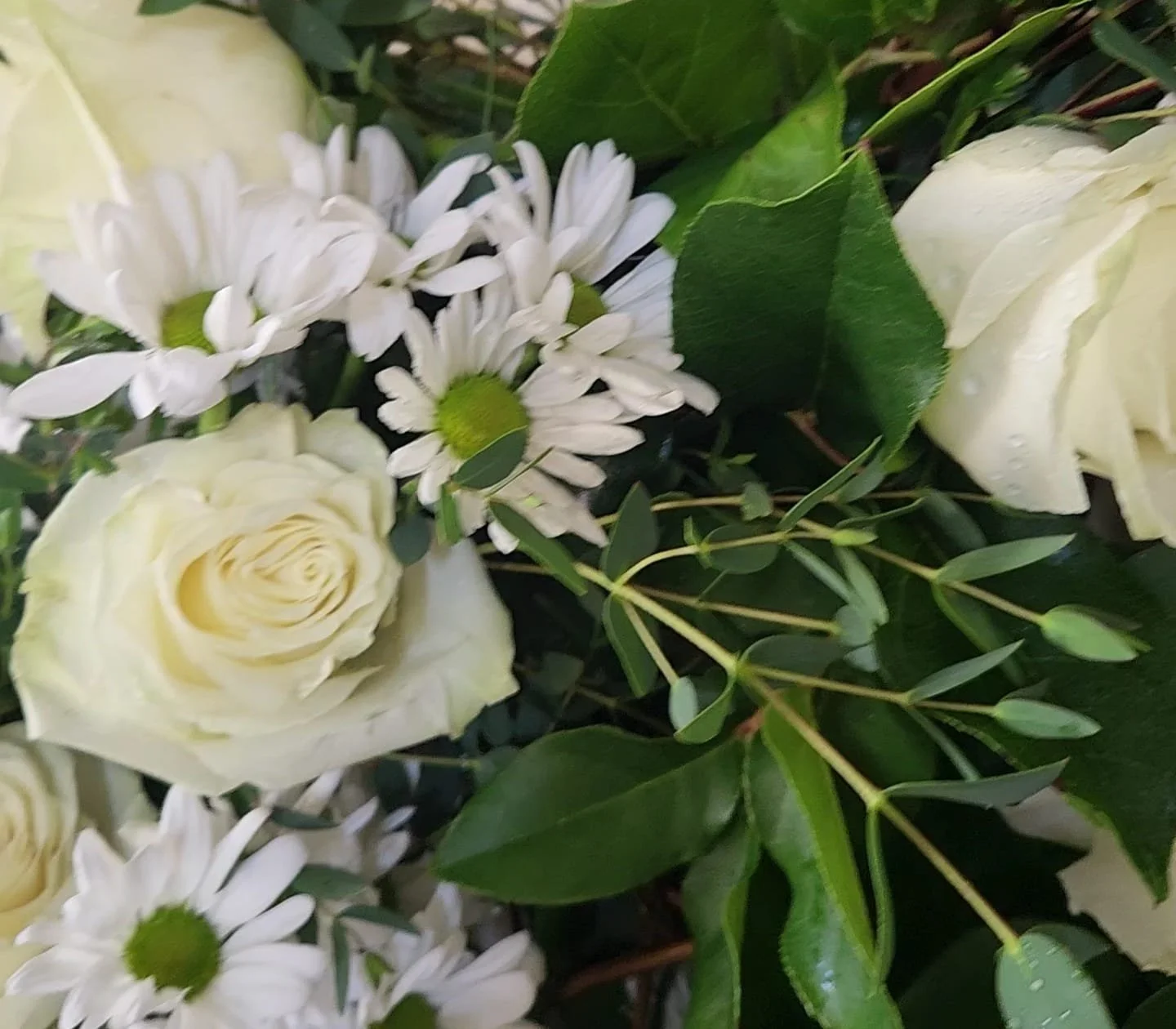 WhatsApp Image 2026-03-27 at 6.20.17 PM.jpeg