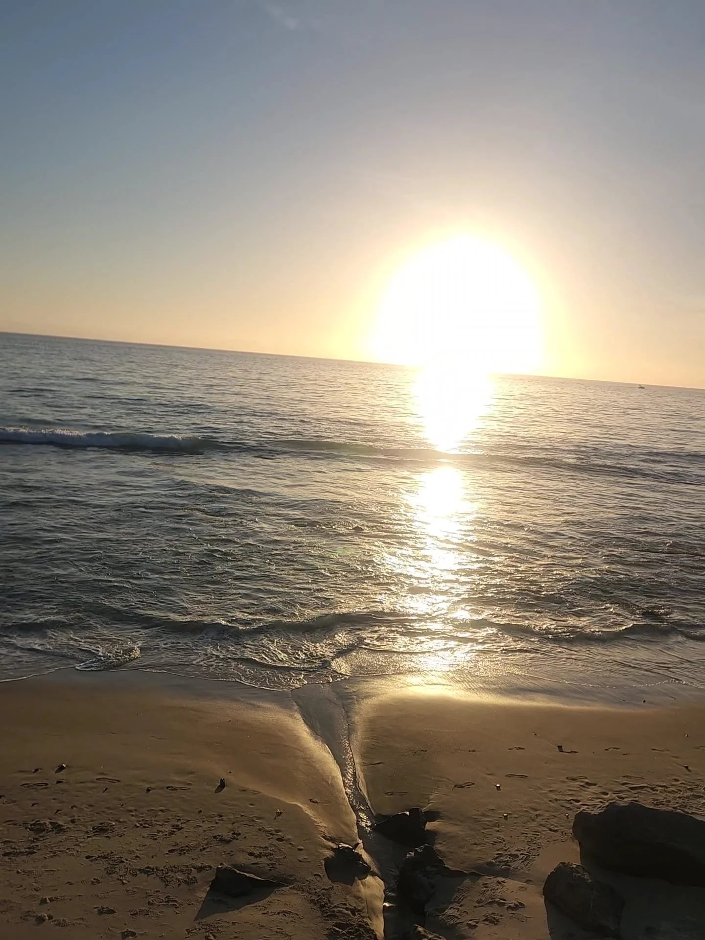 WhatsApp Image 2026-03-27 at 6.20.20 PM (1).jpeg