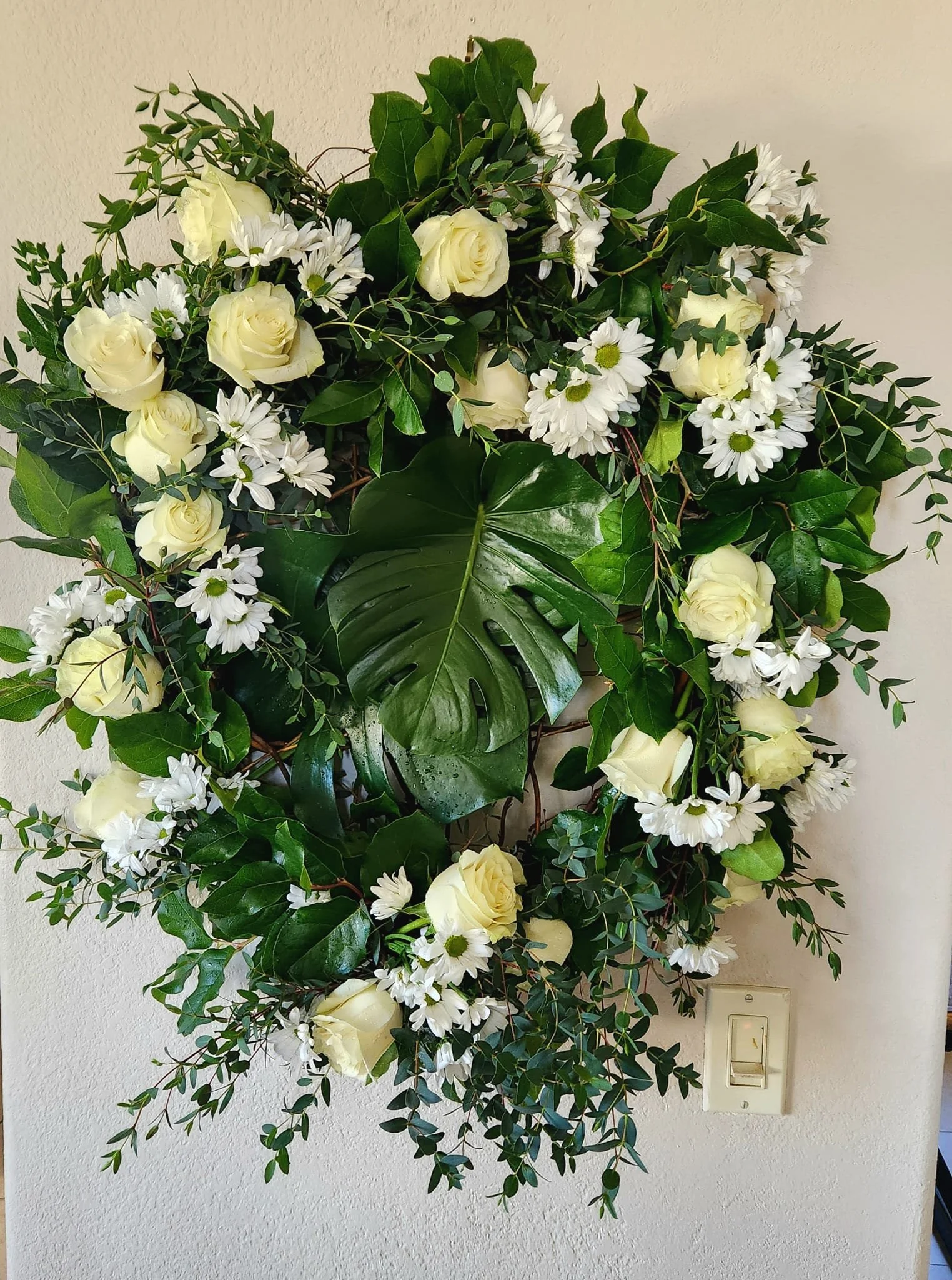 WhatsApp Image 2026-03-27 at 6.20.20 PM.jpeg