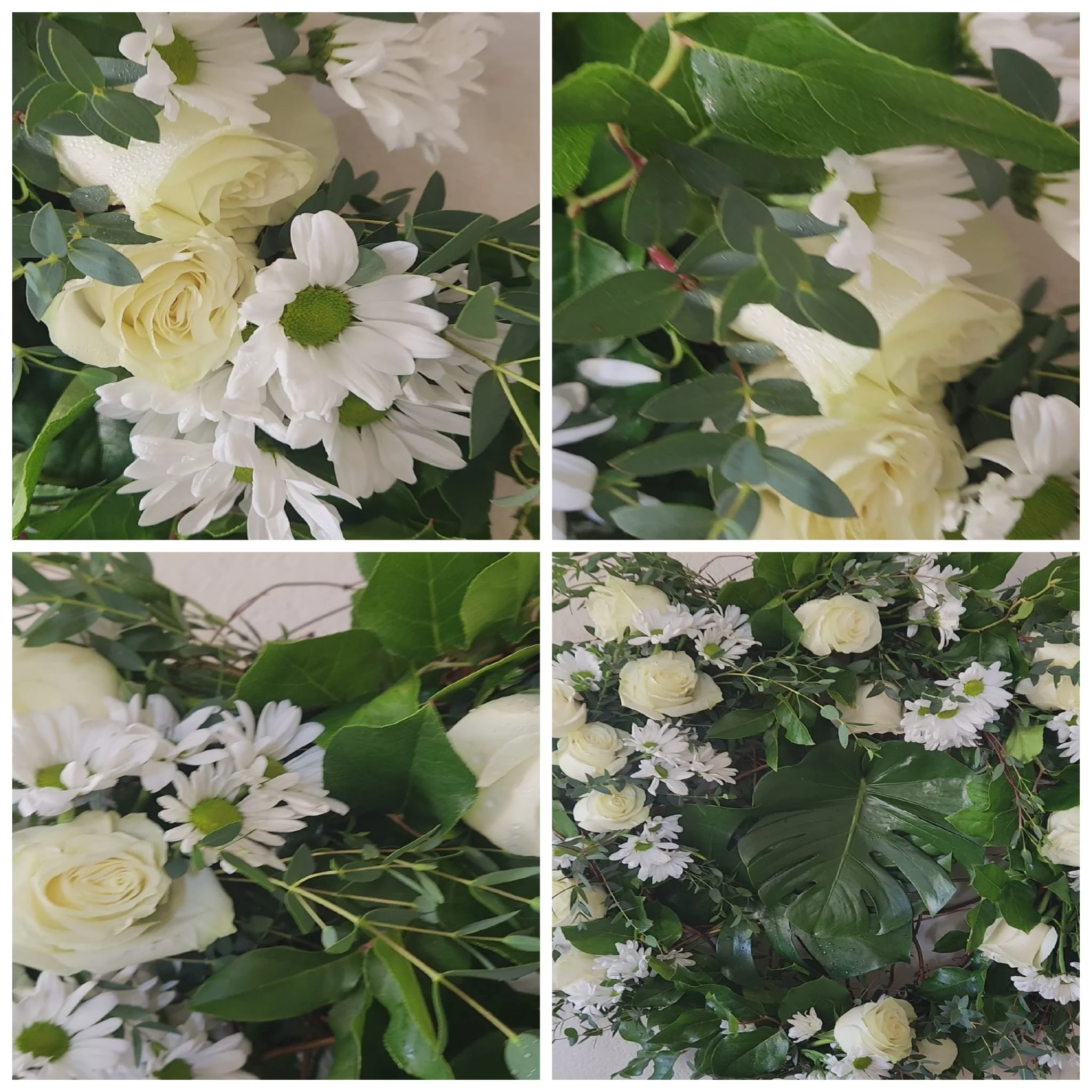 WhatsApp Image 2026-03-27 at 6.20.30 PM.jpeg