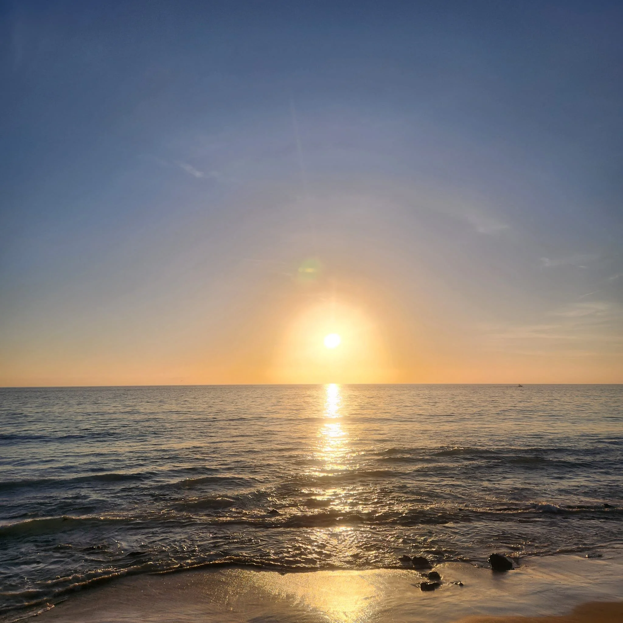 WhatsApp Image 2026-03-27 at 6.20.30 PM (1).jpeg