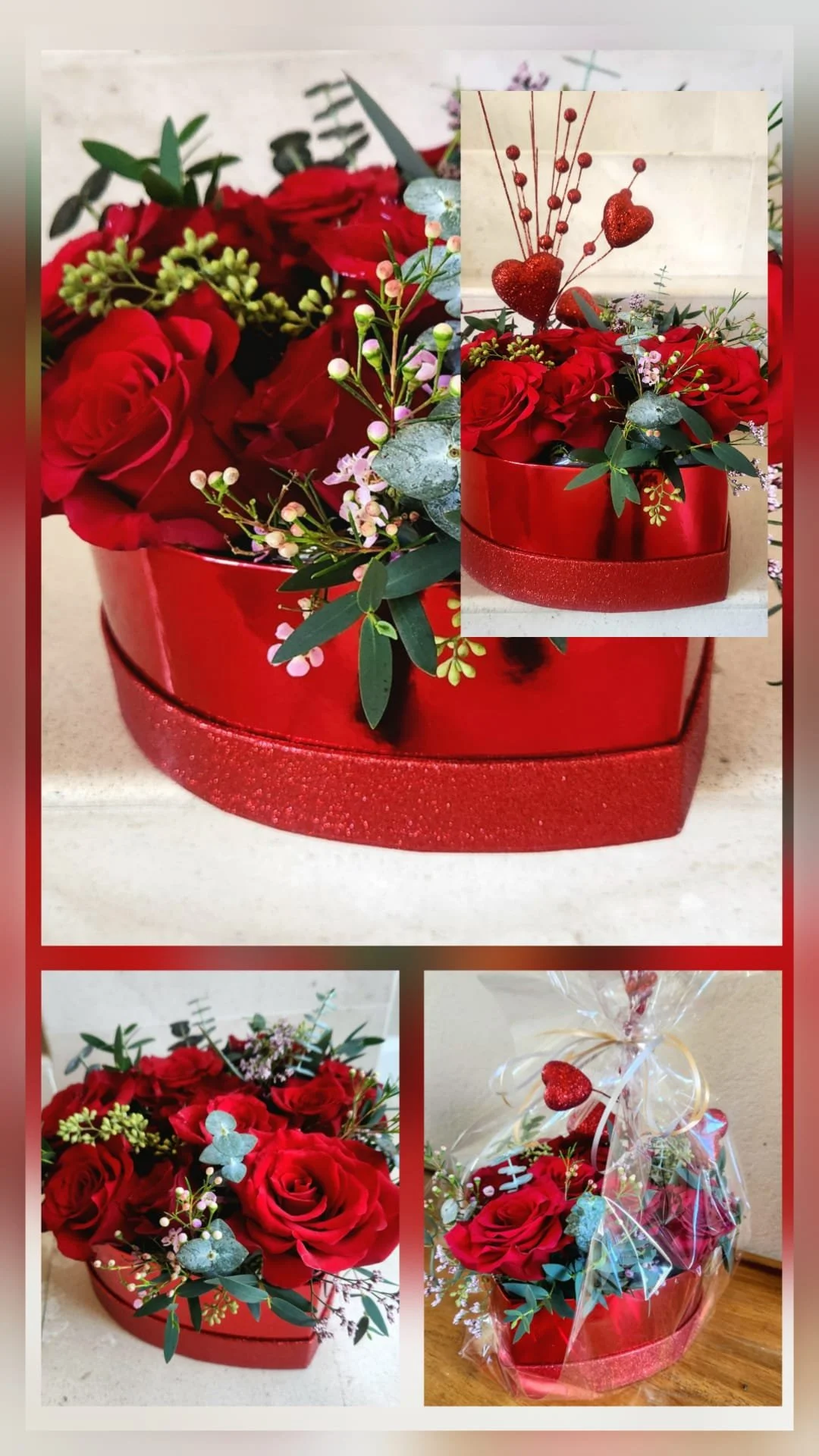 WhatsApp Image 2026-01-20 at 11.26.59 AM (2).jpeg