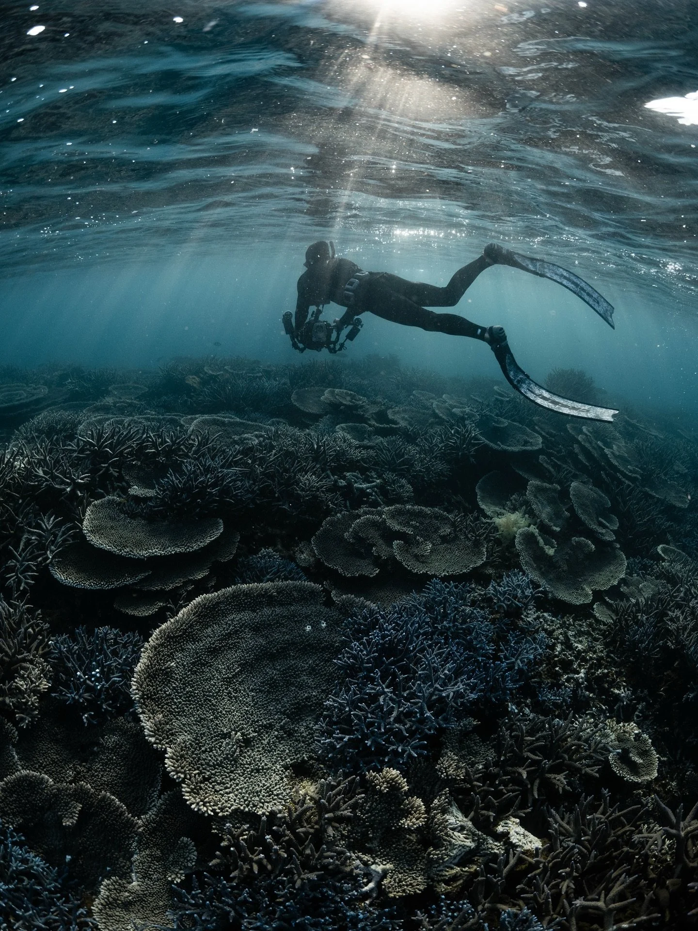 The trip of a life time with the @sharkeyesglobal crew at the Abrolhos islands🖤🩵 So grateful for this time!Spending all day in the water exploring, surfing and then eating fresh seafood for dinners with the best.